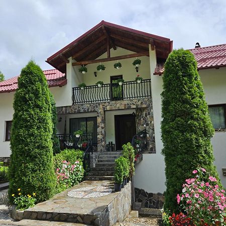 Casa Alba Villa Borşa Eksteriør bilde