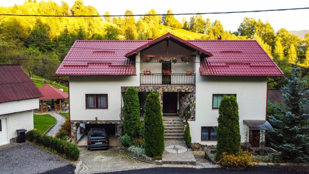 Casa Alba Villa Borşa Eksteriør bilde