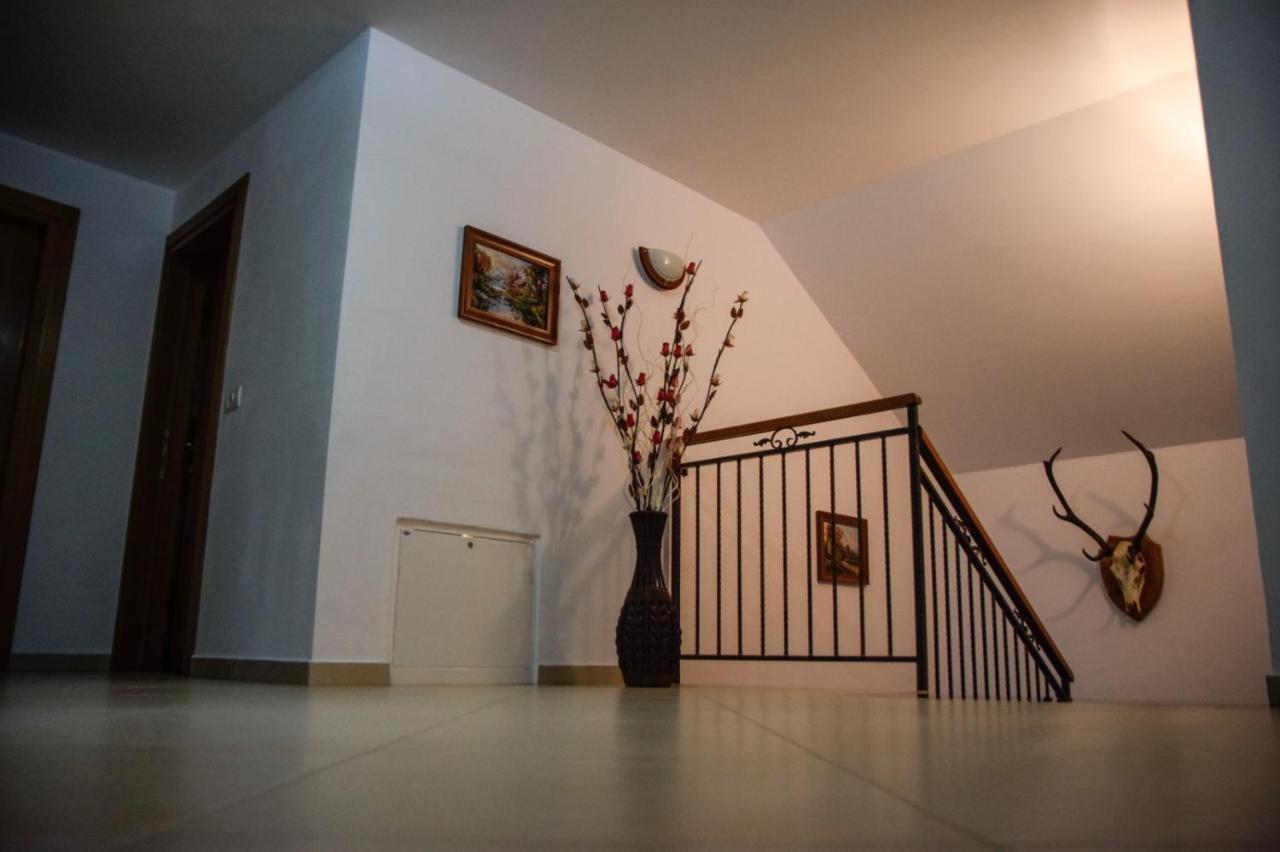 Casa Alba Villa Borşa Eksteriør bilde