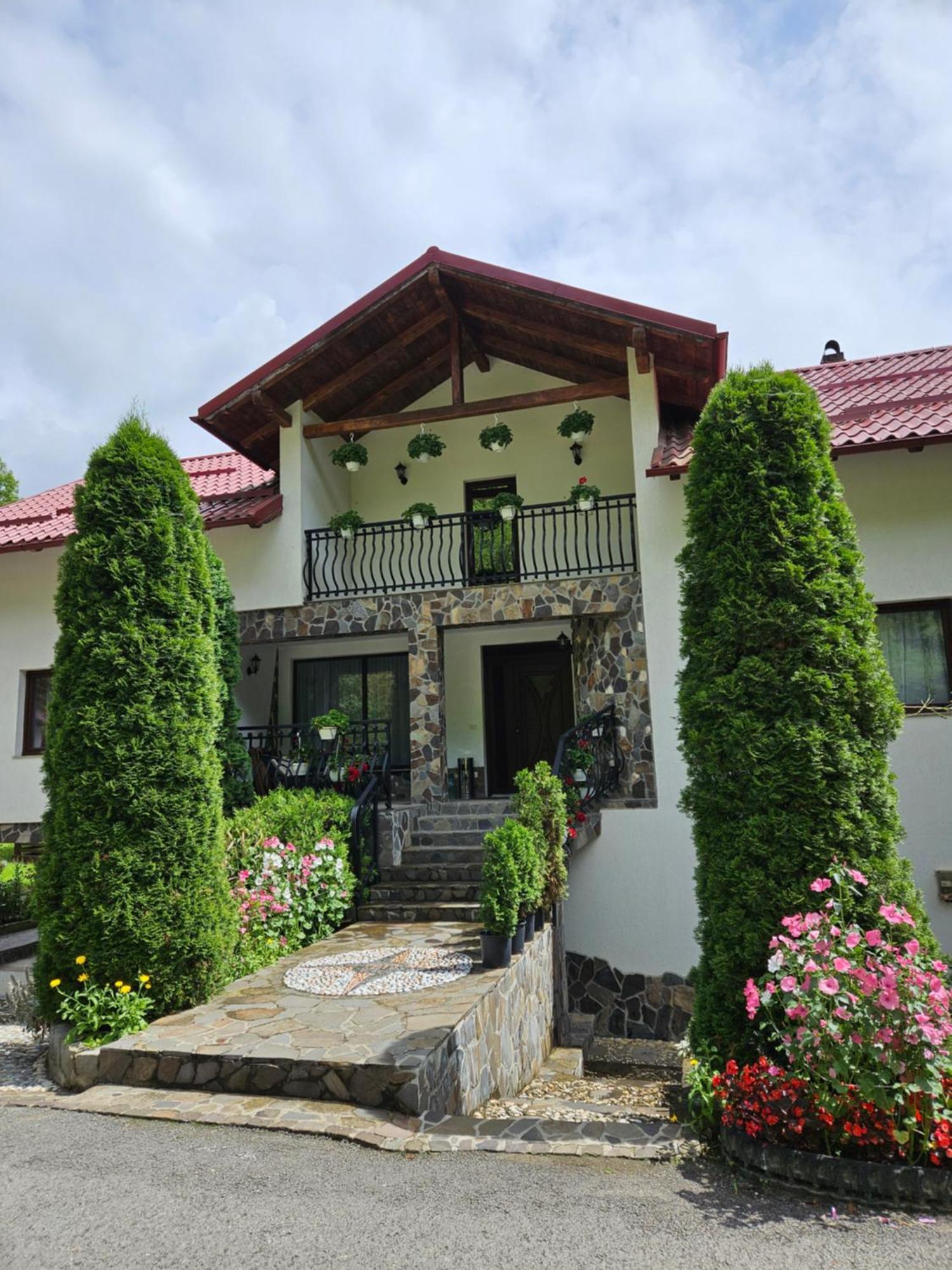 Casa Alba Villa Borşa Eksteriør bilde